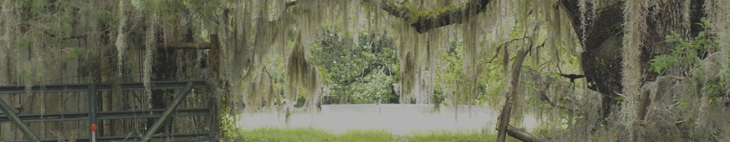 Altama Plantation Banner.png FWS.gov